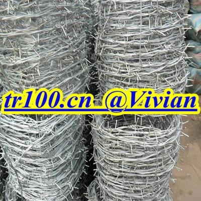 barbed wire (TIANRUI) 4