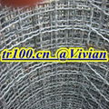 crimped wire mesh (TIANRUI) 3