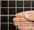 welded wire mesh panel or wall grid