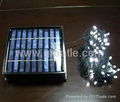 Intelligent Solar Energy LED Christmas