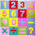 EVA puzzles 1