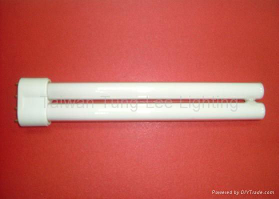 Compact Fluorescent Lamp