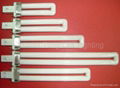 Compact Fluorescent Lamp