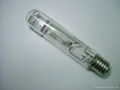 Metal Halide