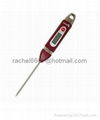Electronic Probe Thermometer 2