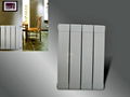 copper & aluminum radiator 1