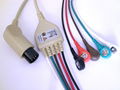 5-lead one piece monitor cable 1