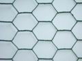 hexagonal wire mesh 1