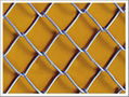 Diamond wire mesh