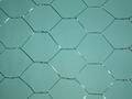 hexagonal wire mesh 2