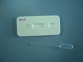 MAU Rapid Test Kit 1