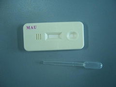 MAU Rapid Test Kit