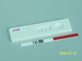 AMP Rapid Test Kit