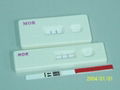 MOR Rapid Test Kit