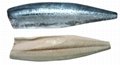 Atlantic mackerel Fillets