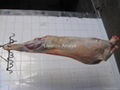 Whole Frozen Mutton 6 way Cut ( IWP )