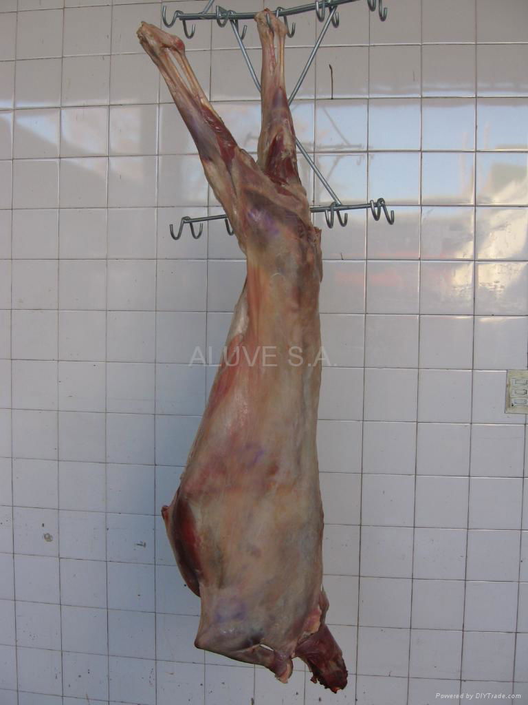 Goat Meat (carcass)