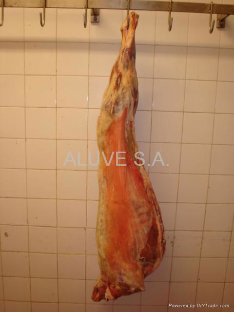 Goat Meat (carcass) 2