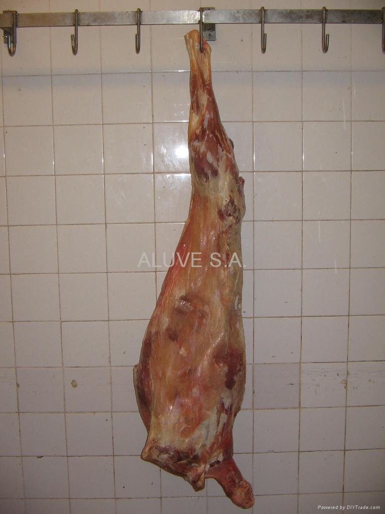 Goat Meat (carcass) 4