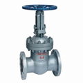 Wedge gate valves