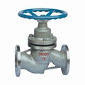 Plunger globe valve 1