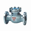 Swing check valves