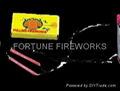 Toy Fireworks