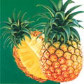 pinapple 1