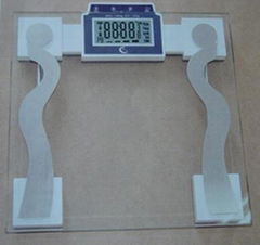 Health scale