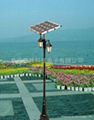 solar garden light