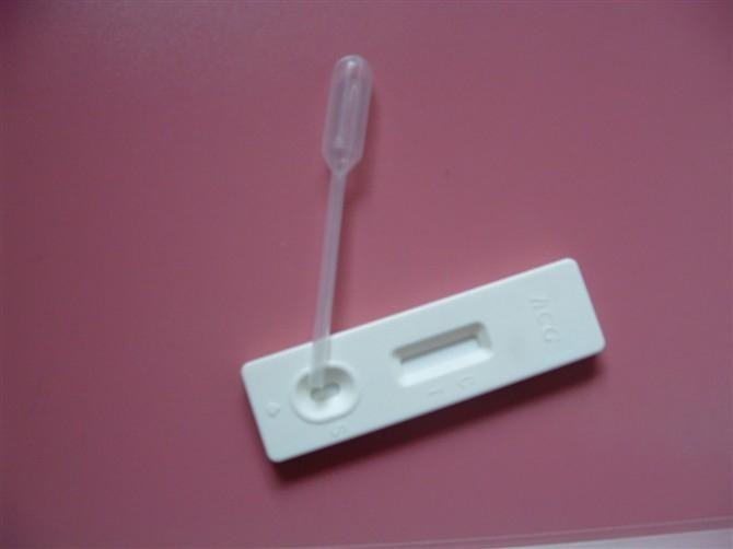 豬懷孕診斷試劑盒 2