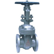 api gate valve