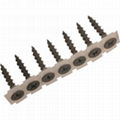 collated screws