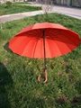 umbrella 2