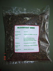 Buckwheat seed