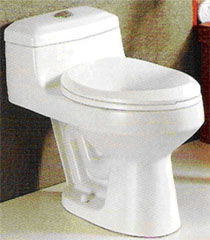 toilet