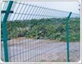 wire mesh fence 2