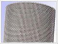 galvanized wire mesh 1