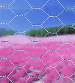 Hexagonal wire mesh