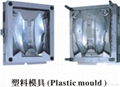 Plastic Injection Mould