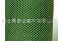 Plastic flat wire mesh 2