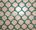 Plastic flat wire mesh 4