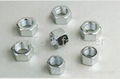 nuts fastener 1