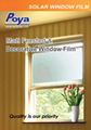 Matt Frosted & Decorative Window Film