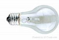 Incandescent Bulb 1