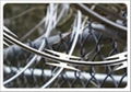 Razor Wire Barbed Tape 1