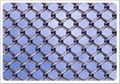 Chain Link Fence