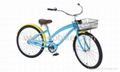 Beach Cruiser Bike 1