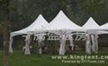专业设计加工各种户外婚礼帐篷