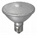 LED par lamp